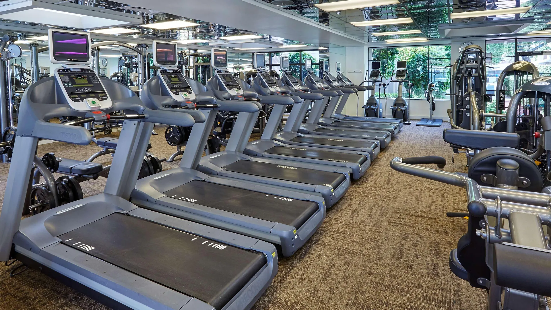 Homewood Suites By Hilton Halifax - Downtown Canada