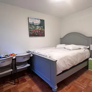 Airnest , Vancouver Canada
